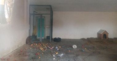IMAGINI DE COȘMAR! Animale lăsate de izbeliște la zoo - 3