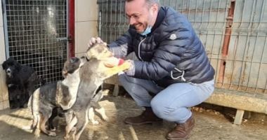 Adăpostul public pentru câinii fără stăpân a intrat în reparații capitale - 3