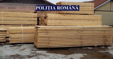 Acţiune a poliţiştilor pentru combaterea faptelor ilegale în domeniul forestier - 3