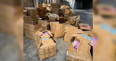 Bunuri în valoare de peste 1.700.000 lei depistate în Portul Constanța - 3