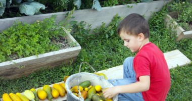 Stire din Diverse : Grădinăritul în luna octombrie