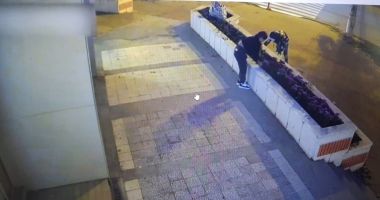 Stire din Social : Crizantemele de pe bulevardul Alexandru Lăpușneanu, sustrase de doi minori