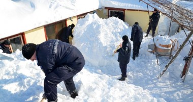 Stire din Eveniment : Jandarmii și militarii din Constanța dau o mână de ajutor la despăzerirea bătrânilor