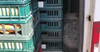 GALERIE FOTO / CÂTĂ MIZERIE MÂNCĂM! FABRICĂ DE PÂINE ȘI PRODUSE DE PATISERIE, DIN CONSTANȚA, AMENDATĂ ȘI ÎNCHISĂ! - 14
