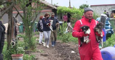 GALERIE FOTO. Peste 150 de câini și pisici, ținuți în CONDIȚII GREU DE SUPORTAT! Poliția a luat toate animalele! - 5