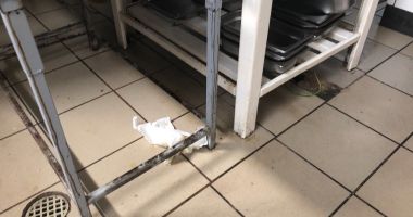 GALERIE FOTO / RESTAURANT DIN EFORIE, ÎNCHIS DE PROTECȚIA CONSUMATORILOR - 3