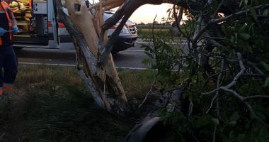 GALERIE FOTO / Accident rutier la Constanța. Sunt două victime - 4