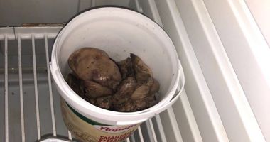 GALERIE FOTO / RESTAURANT DIN EFORIE, ÎNCHIS DE PROTECȚIA CONSUMATORILOR - 6