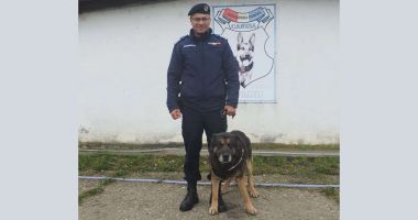 Stire din Actualitate : Câinele PAM, din cadrul Inspectoratului de Jandarmi a ieșit la pensie