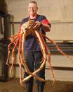 Crabzilla, descoperit în Oceanul Pacific