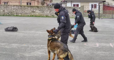 Elevii din Techirghiol au fost vizitați de jandarmi. Câinii de serviciu au făcut spectacol - 2