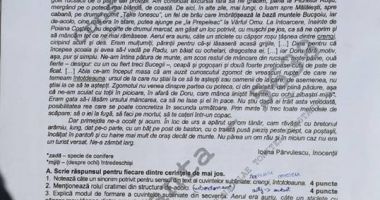 FOTO / Iată subiectele date la Limba și literatura română, la Evaluarea Națională 2018. Ce spun elevii - 6
