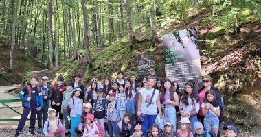 Stire din Cultură-Educație : 35 de elevi care studiază limba turcă, beneficiari ai unei tabere la Bran