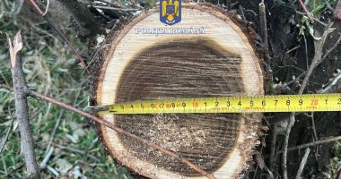 Doi tineri au fost prinși la furat de lemne, la Gârliciu - 3