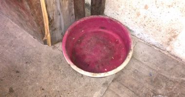GALERIE FOTO-VIDEO / IMAGINI DE GROAZĂ în bucătăria patiseriei din incinta Colegiului Național "Mihai Eminescu" - 17