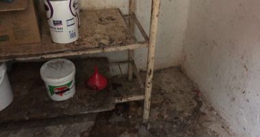 GALERIE FOTO-VIDEO / IMAGINI DE GROAZĂ în bucătăria patiseriei din incinta Colegiului Național "Mihai Eminescu" - 21