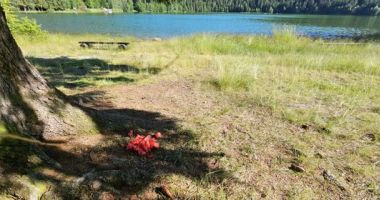 Stire din Social : Accesul la Lacul Sf Ana, interzis cu bagaje, pentru descurajarea celor care fac picnic în pădure