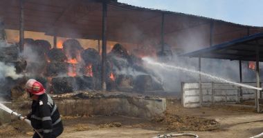 GALERIE FOTO - VIDEO / Incendiu de proporții în județul Constanța! - 2