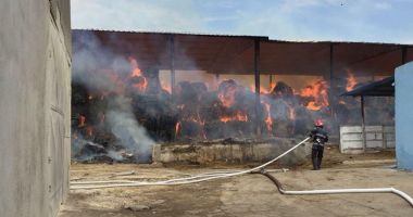 GALERIE FOTO - VIDEO / Incendiu de proporții în județul Constanța! - 3