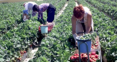3,5 milioane de români muncesc în străinătate