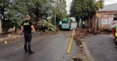 Un bărbat a ajuns la spital, după ce un copac a căzut peste autoturismul în care se afla