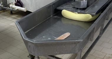 Stire din Social : Garda de Mediu Constanţa. Amendă şi activitate suspendată, pentru o societate care fabrica lactate. Ce spune autoritatea