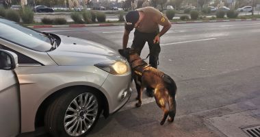 Raziile continuă în județul Constanța. Cum acționează oamenii legii - 2