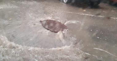 PLOUĂ TORENȚIAL LA CONSTANȚA! Se circulă cu mare dificultate