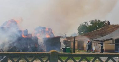 GALERIE FOTO / Incendiu la Mihail Kogălniceanu. Intervin două autospeciale - 2