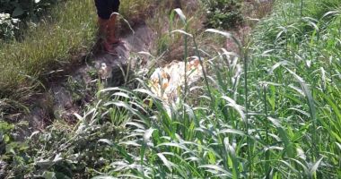 UPDATE. GRAV ACCIDENT RUTIER ÎN JUDEȚUL CONSTANȚA! UN COPIL DE 15 ANI A MURIT - 3