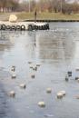 Lacul Tăbăcăriei, plin de piatră cubică