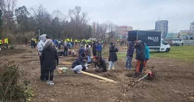 Lecție de implicare! Ploaia nu a oprit voluntarii să planteze copaci la Palatul Copiilor - 5