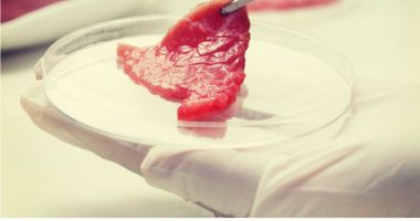Stire din Social : Este oficial! Carnea artificială este sigură pentru consum