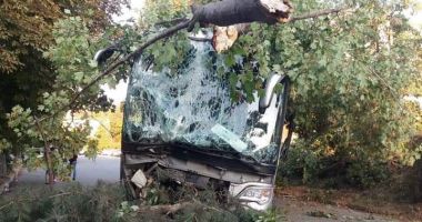GALERIE FOTO / ACCIDENT RUTIER GRAV în Eforie Nord. Un autocar cu zeci de turiști a intrat într-un copac - 5