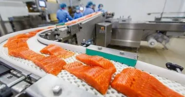Stire din Social : Vreți să munciți în spațiul economic comunitar? Sunt 121 locuri de muncă