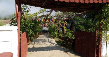 Galerie foto. INCENDIU ÎN JUDEȚUL CONSTANȚA! - 2