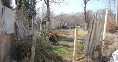 Stire din Cetățenești : Pârloaga mizeră din "Badea Cârțan" (GALERIE FOTO)