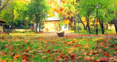 Stire din Diverse : Ce mai grădinărim în octombrie