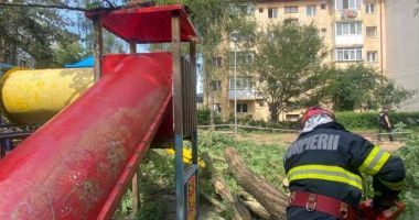 Copil accidentat la un loc de joacă, după ce a căzut un copac