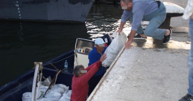 O tonă de melci de mare confiscată la Constanța - 2