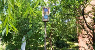 Bălării, ruginituri, clădiri abandonate. Remiza CFR Palas Constanţa, pe "valea plângerii" - 7