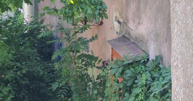 Autorităţile se mişcă precum melcul! Teatrul de Copii şi Biserica Greacă din Constanţa, la un pas de prăbuşire! - 4
