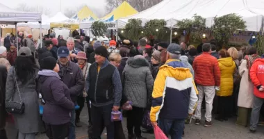 Masa de sărbători începe cu forfota din târgurile cu produse tradiționale - 4