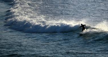 Stire din Actualitate : Clipe de groază! Un rechin a sărit pe placa unui surfer
