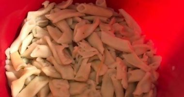 GALERIE FOTO. Toxiinfecție alimentară, la Costinești. 10 PERSOANE AFECTATE! "Am depistat un depozit ascuns!" - 9