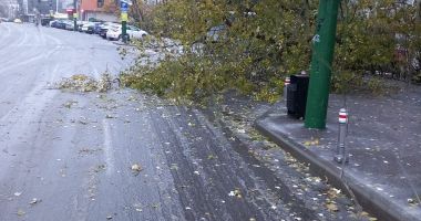 Stire din Social : Trafic îngreunat din cauza vremii. Mai multe linii CT Bus sunt afectate