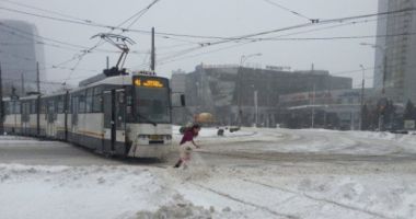 Vremea rea face ravagii! Copaci doborâți, transport paralizat