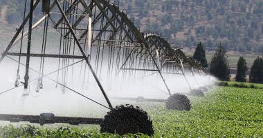 Stire din Economie : Agricultură: Sprijin pentru achitarea energiei electrice consumată în irigaţii