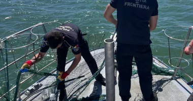Stire din Eveniment : Plase ilegale, depistate în Marea Neagră. Patru sturioni au fost salvați