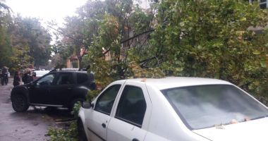 ATENȚIE CONSTĂNȚENI! Evitați Zona Capitol! Copac căzut, iar semafoarele nu funcționează - 3